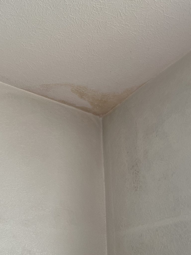damp on inside of the property 